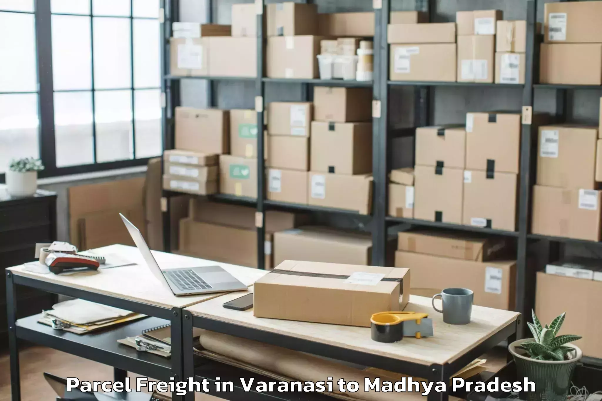 Hassle-Free Varanasi to Dhar Parcel Freight